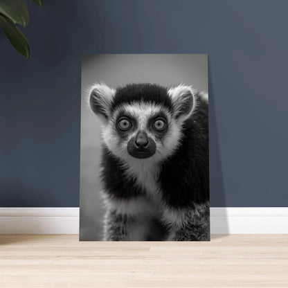 Lemur med intensiv blick i svartvitt, närbild