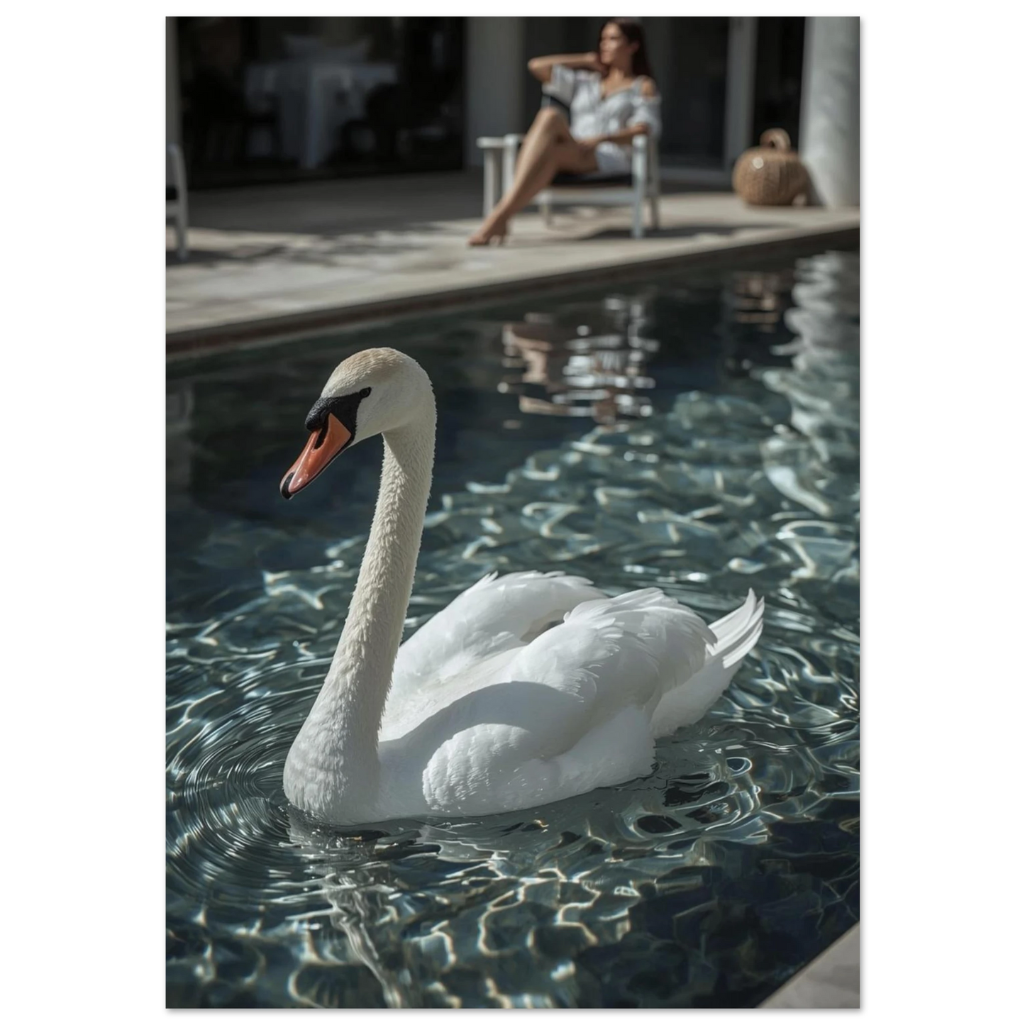 Vit svan simmar i en mörkblå pool med glittrande vattenreflektioner