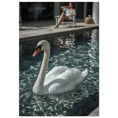 Vit svan simmar i en mörkblå pool med glittrande vattenreflektioner