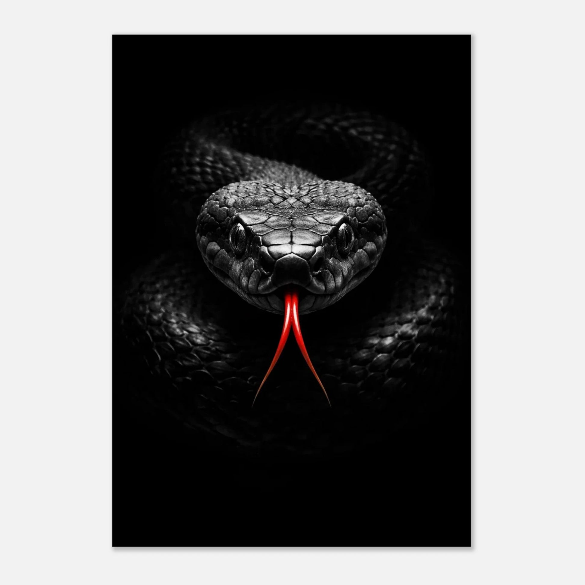 Mystisk djurposter föreställande en svart orm i studiobelysning med röd tunga
