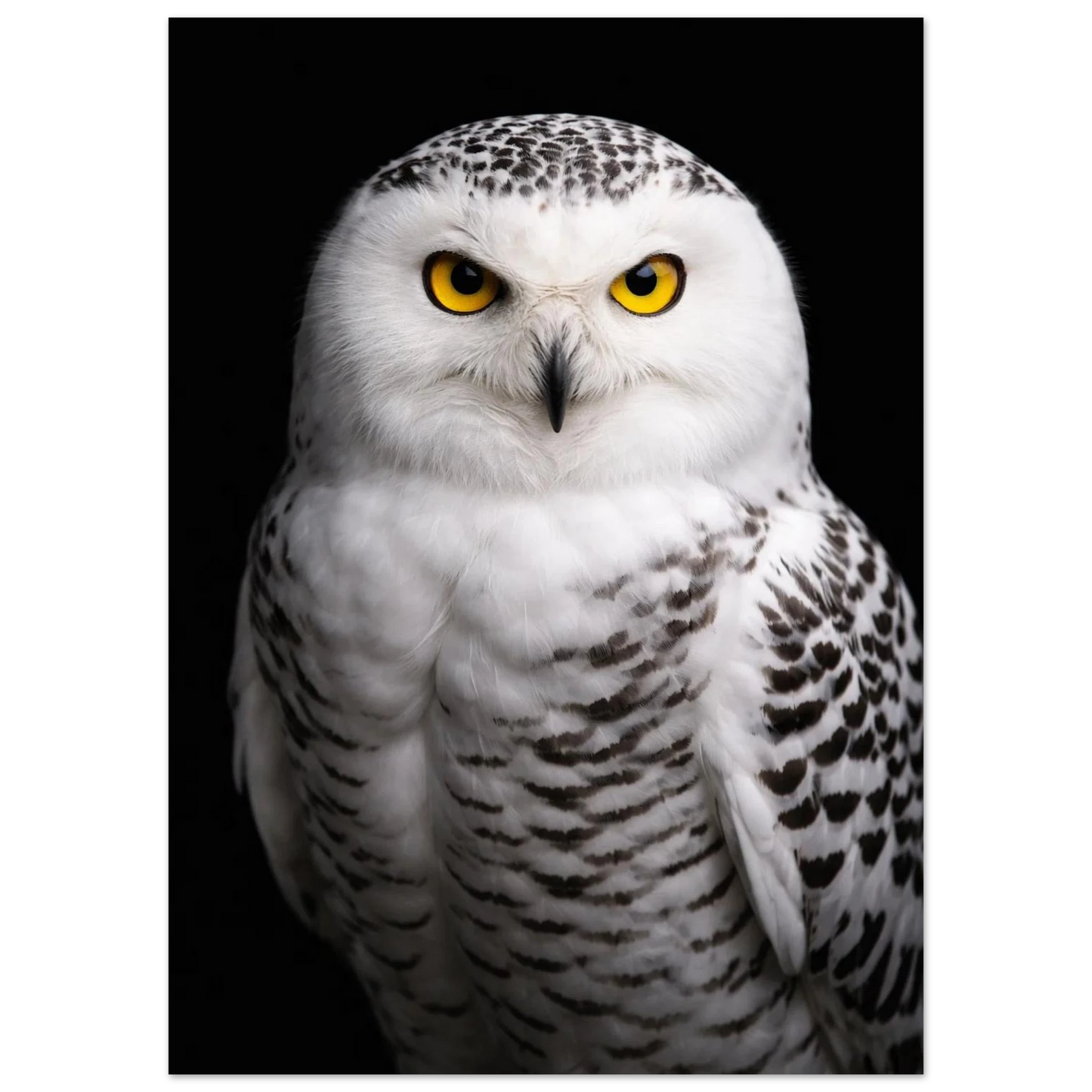 Fjälluggla i full fokus, med skarpa detaljer i fjädrarna och en intensitet i blicken – Fotorealistisk poster