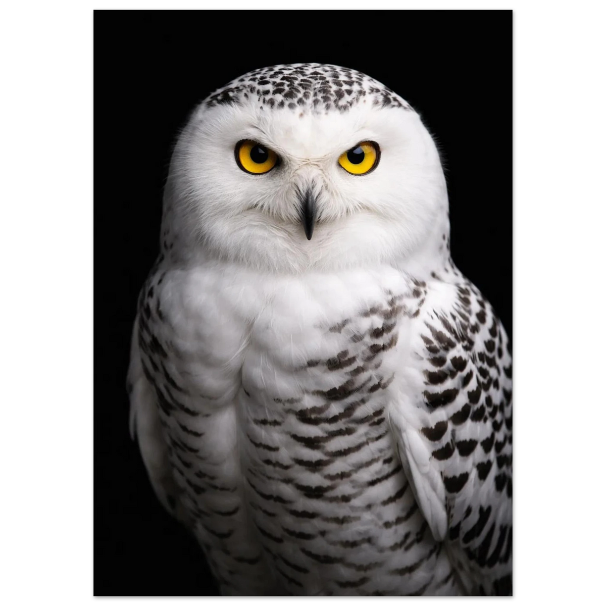 Fjälluggla i full fokus, med skarpa detaljer i fjädrarna och en intensitet i blicken – Fotorealistisk poster