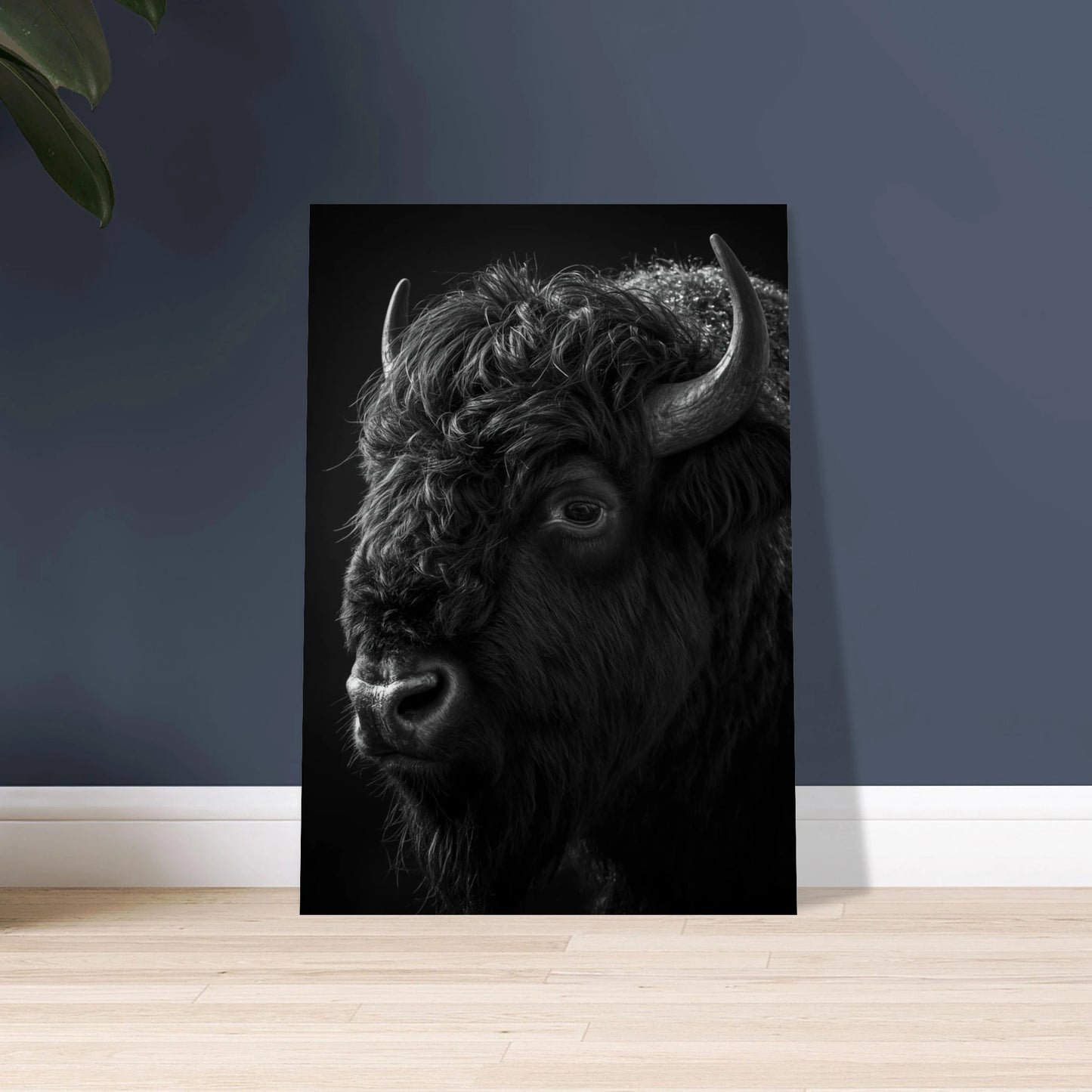 Bisonoxe i svartvitt, närbild, med lugn och kraftfull utstrålning.