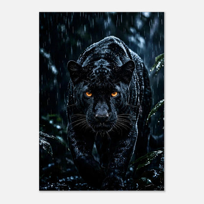 Exotiskt djurmotiv av en blöt svart panter i tropisk miljö – stilren poster