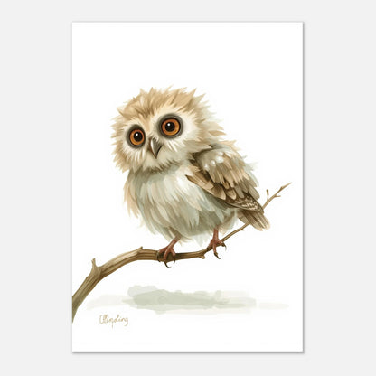 Charmig uggleillustration med stora ögon och mjuka fjädrar mot vit bakgrund