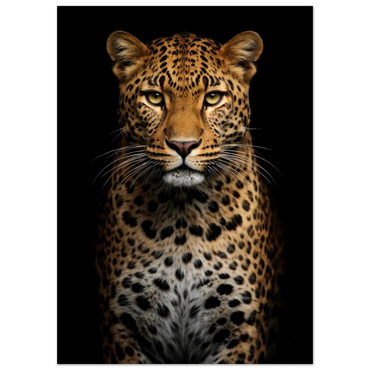 Leopardporträtt med fokus på ansiktet och den fläckiga pälsen – Fotorealistisk poster