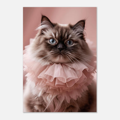 Majestätisk perserkatt i mjuk rosa krage och belysning – djurposter