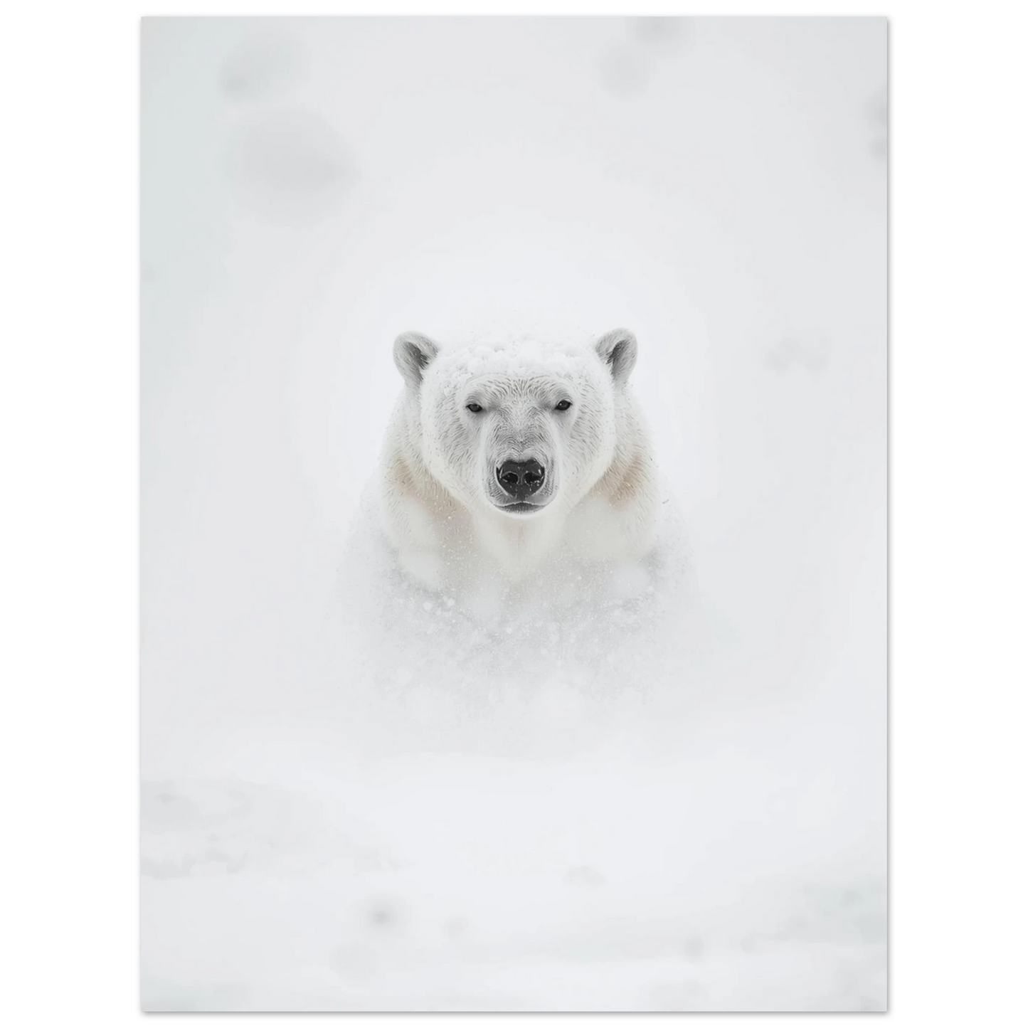 Majestätisk isbjörn som vandrar genom en arktisk snöstorm – djurposter