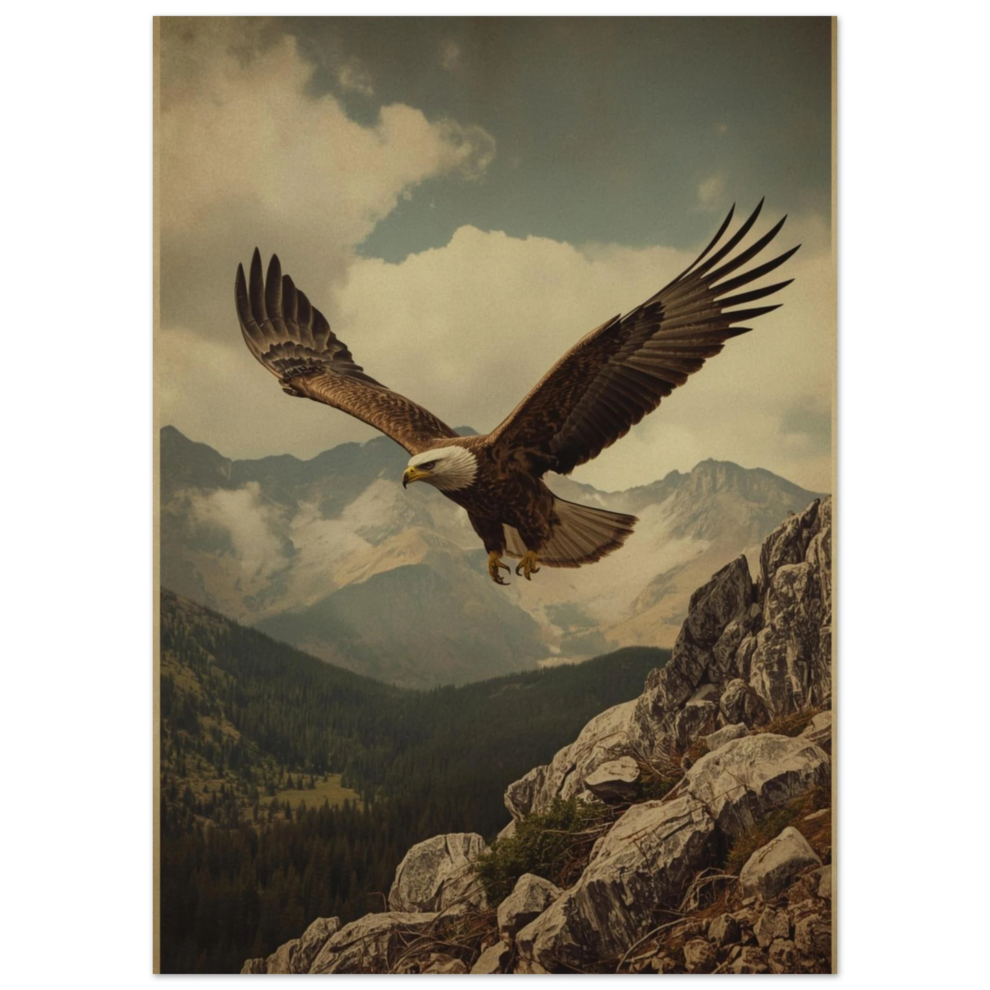 Naturtrogen poster av en örn i flykt mot en disig bergshimmel