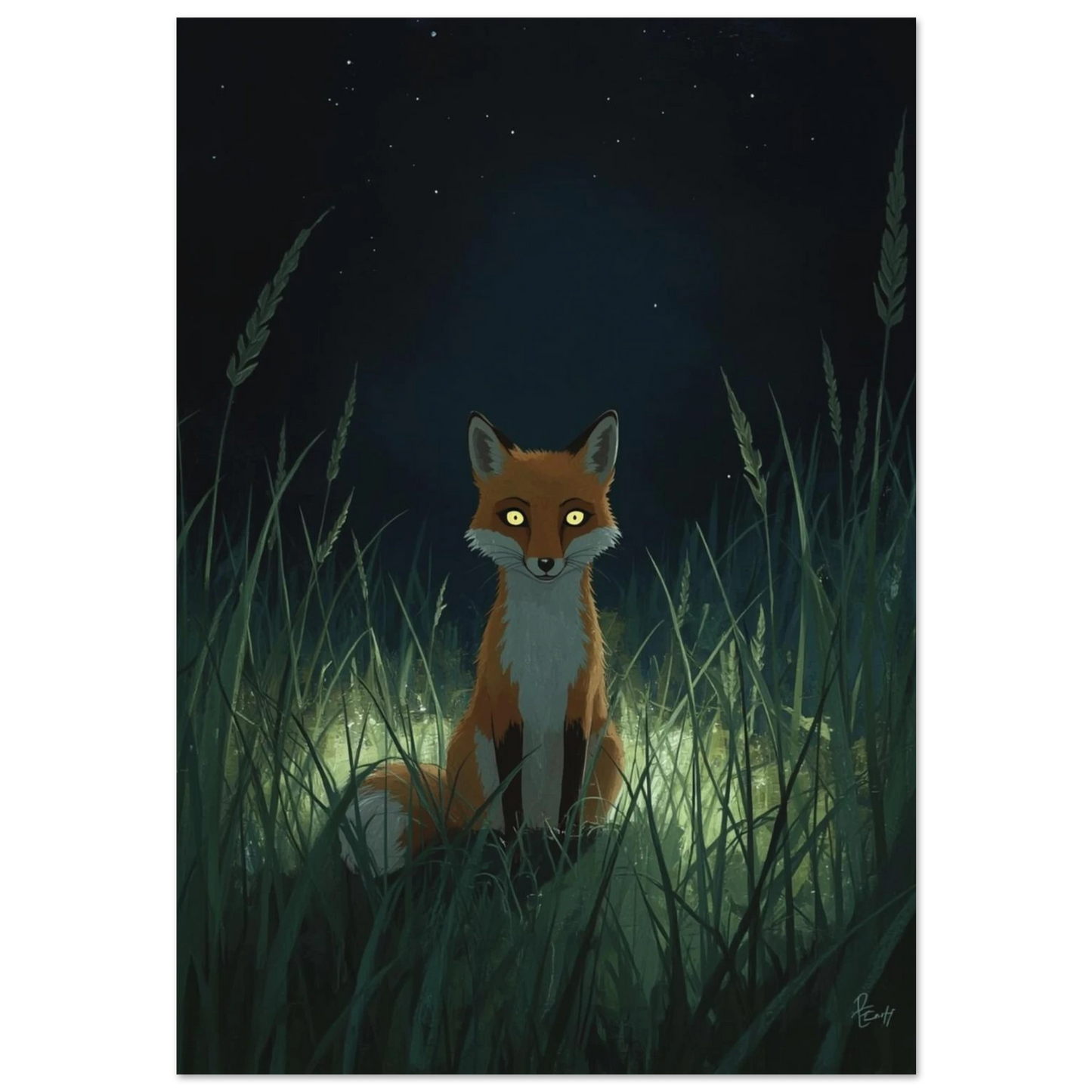 Illustration av en räv med lysande ögon i nattligt gräs på svart bakgrund