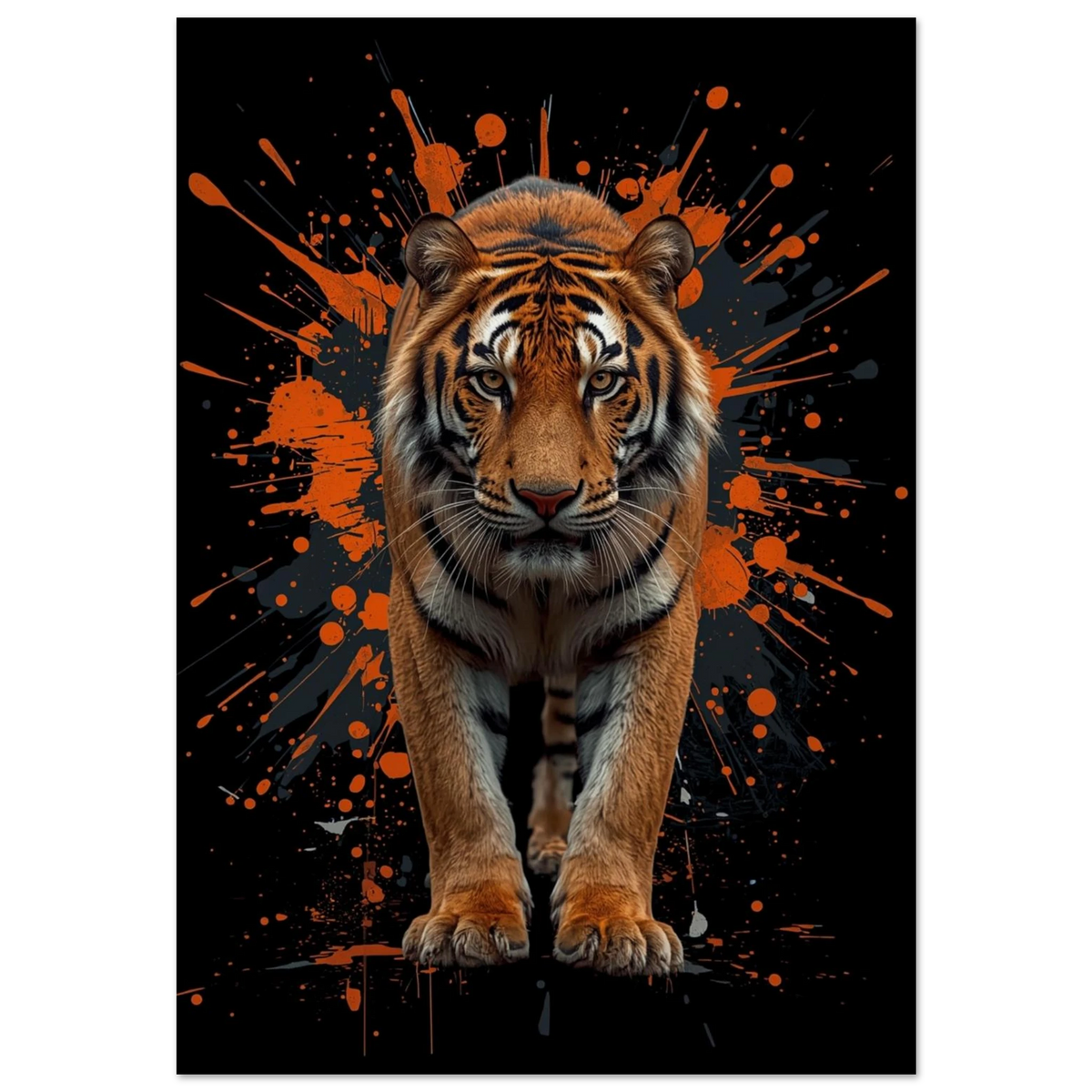 Tiger i närbild med orange färgstänk på svart bakgrund – digital djurposter