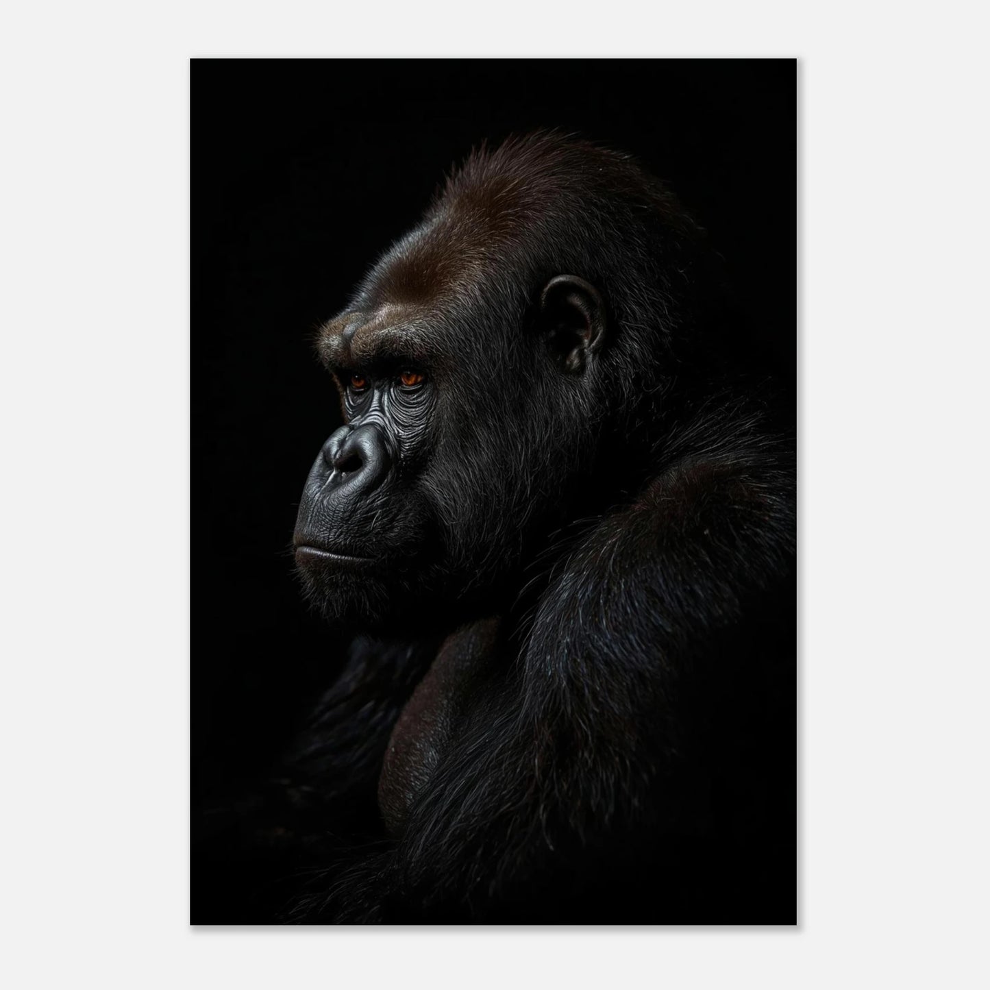 Detaljrik poster av en gorilla med fokus på ansiktsdrag, elegant väggkonst
