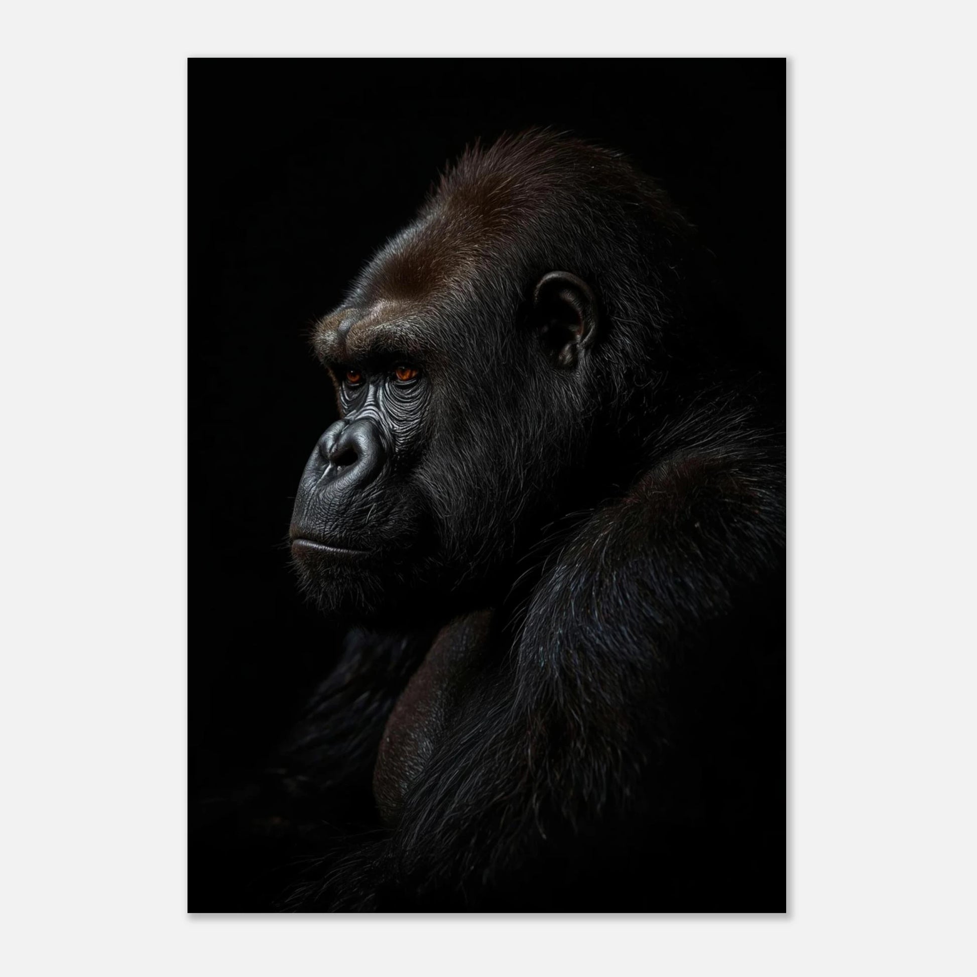 Detaljrik poster av en gorilla med fokus på ansiktsdrag, elegant väggkonst