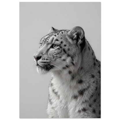 Svartvit snöleopard i profil med mörk inramning – fotorealistisk djurposter