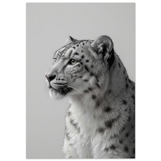 Svartvit snöleopard i profil med mörk inramning – fotorealistisk djurposter