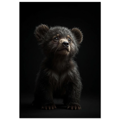 Detaljerad bild av en liten björnunge sittande mot svart bakgrund framifrån – Fotorealistisk poster