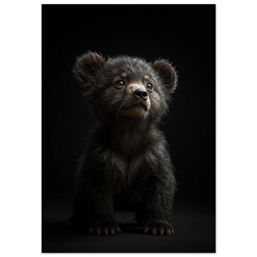 Detaljerad bild av en liten björnunge sittande mot svart bakgrund framifrån – Fotorealistisk poster