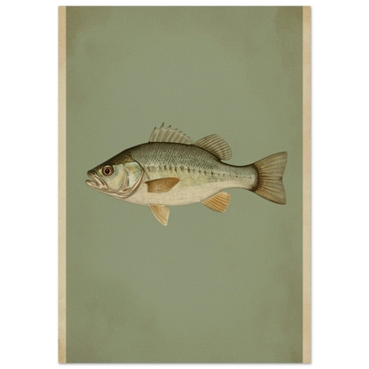 Klassiskt fiskmotiv av en abborre i dova gröna toner, vintage-stil