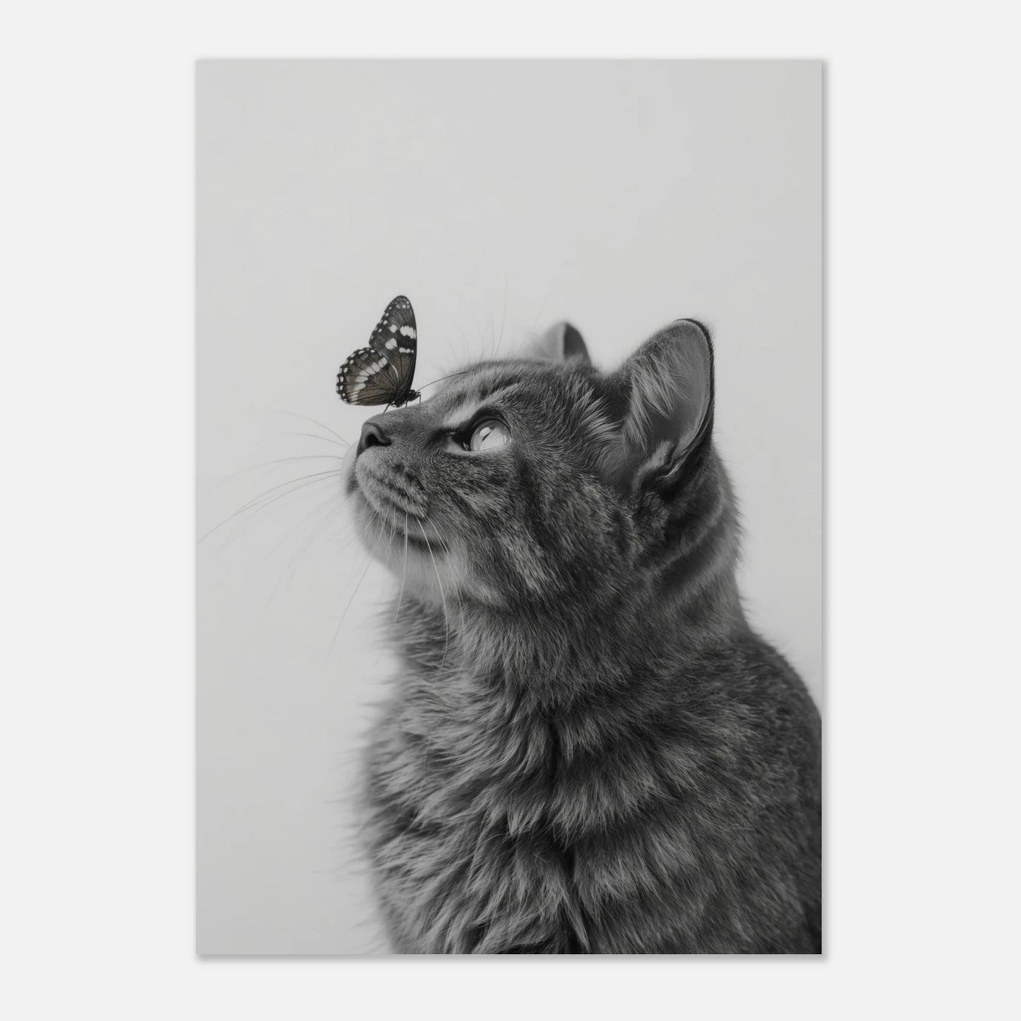 Minimalistiskt kattmotiv i svartvitt med fokus på kattens ansikte