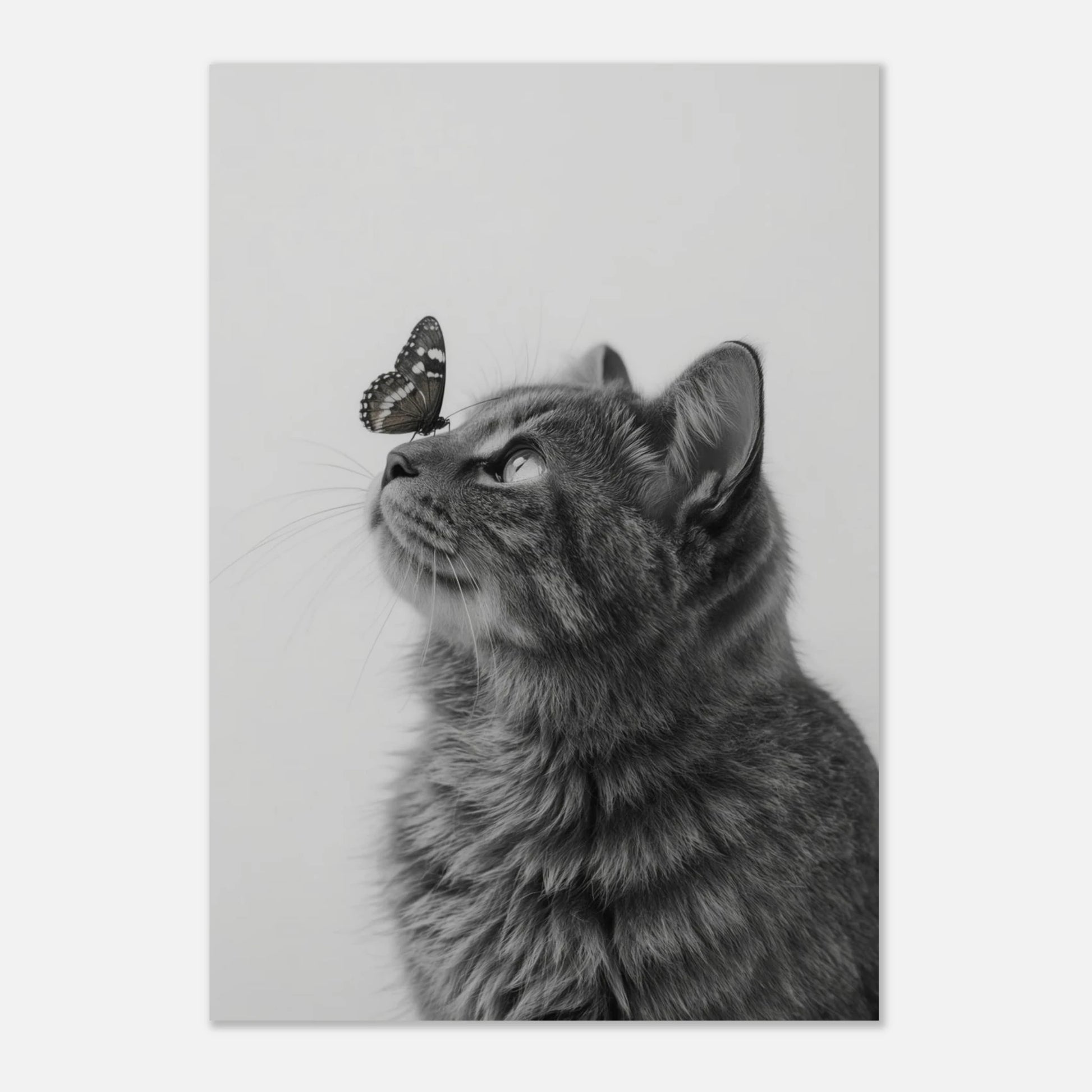 Minimalistiskt kattmotiv i svartvitt med fokus på kattens ansikte