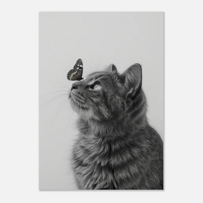 Minimalistiskt kattmotiv i svartvitt med fokus på kattens ansikte