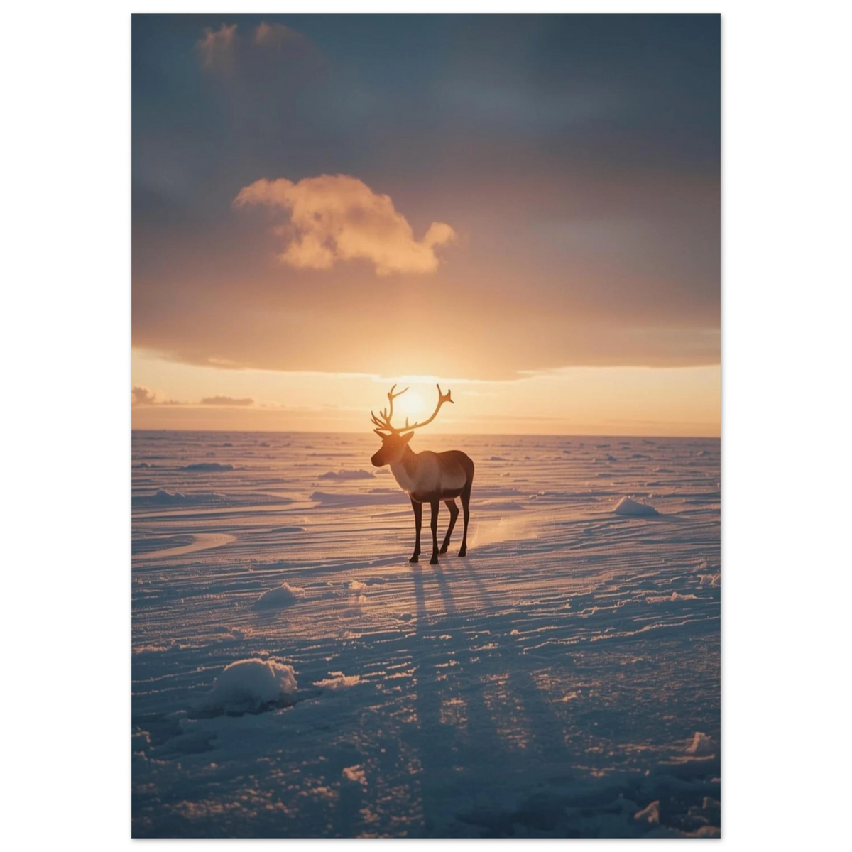 Ståtlig ren med stora horn i ett vidsträckt vinterlandskap vid skymning