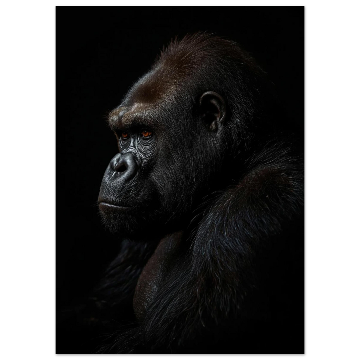 Mörkt porträtt av en gorilla med intensiv blick, stämningsfullt djurmotiv