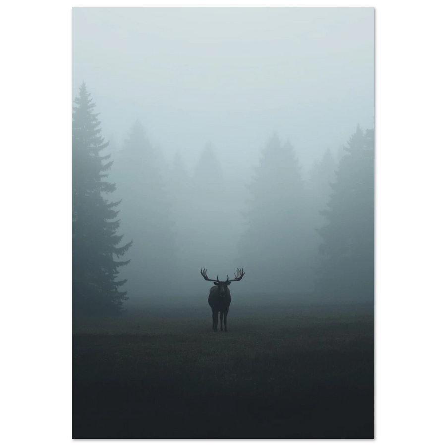 Ståtlig älg med horn i tät morgondimma – nordisk fotoposter