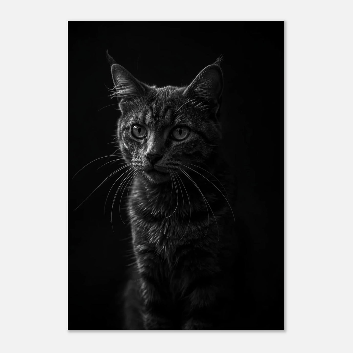 Svartvitt print av kattansikte med fokus på pälsens struktur och blick