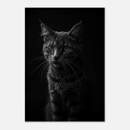 Svartvitt print av kattansikte med fokus på pälsens struktur och blick