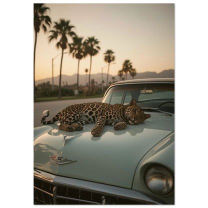 Leopard vilar på huven av en mintgrön vintagebil vid solnedgång