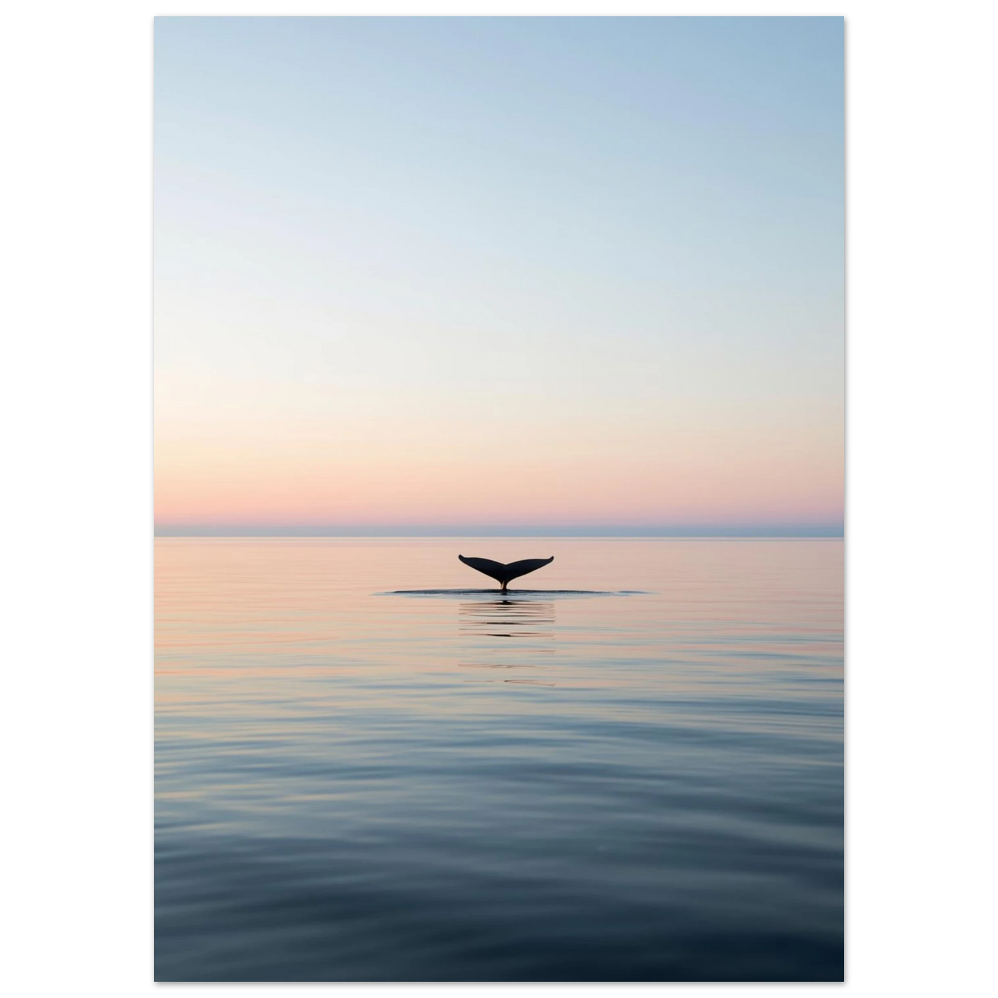 Valstjärt mitt i en solnedgång över havet, sett från en annan vinkel – Fotorealistisk poster