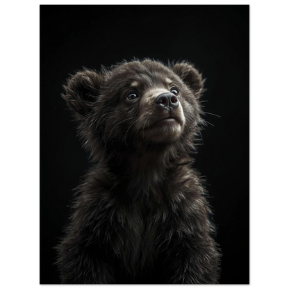 Mörkgrå poster föreställande en fluffig björnunge med nyfiken blick – print
