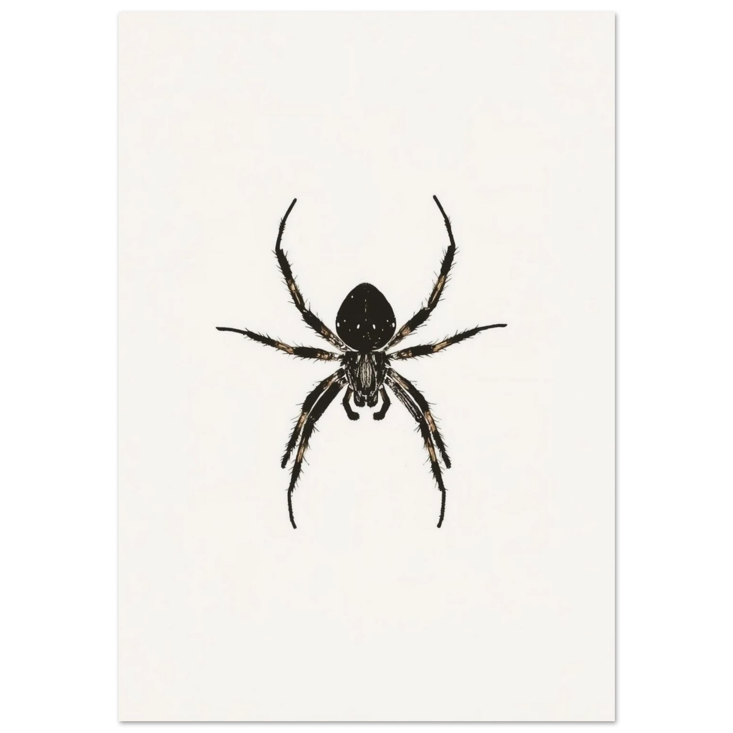 Svartvit illustration av en spindel i minimalistisk sumi-e stil