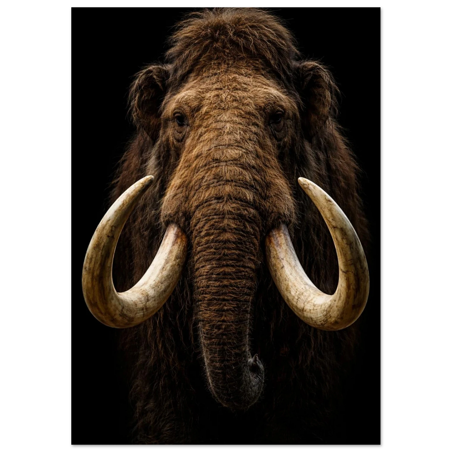 Mammut med detaljerad päls och betar, fokus på ögonen – Fotorealistisk poster