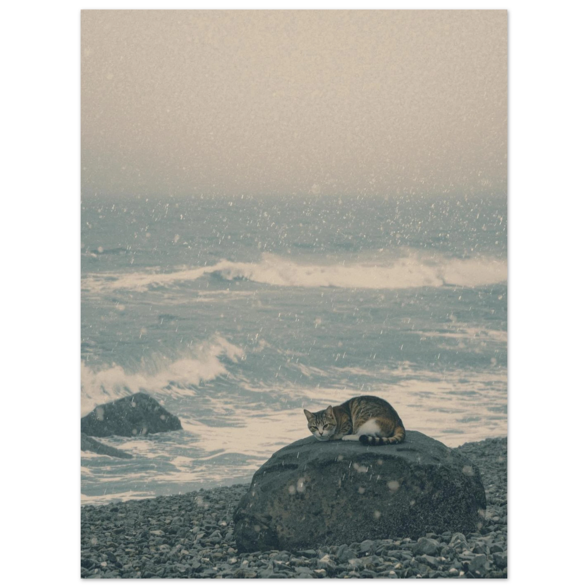 Vintermotiv av en katt vid havet, konstnärligt fotografi med snöflingor