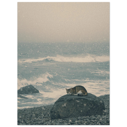 Vintermotiv av en katt vid havet, konstnärligt fotografi med snöflingor