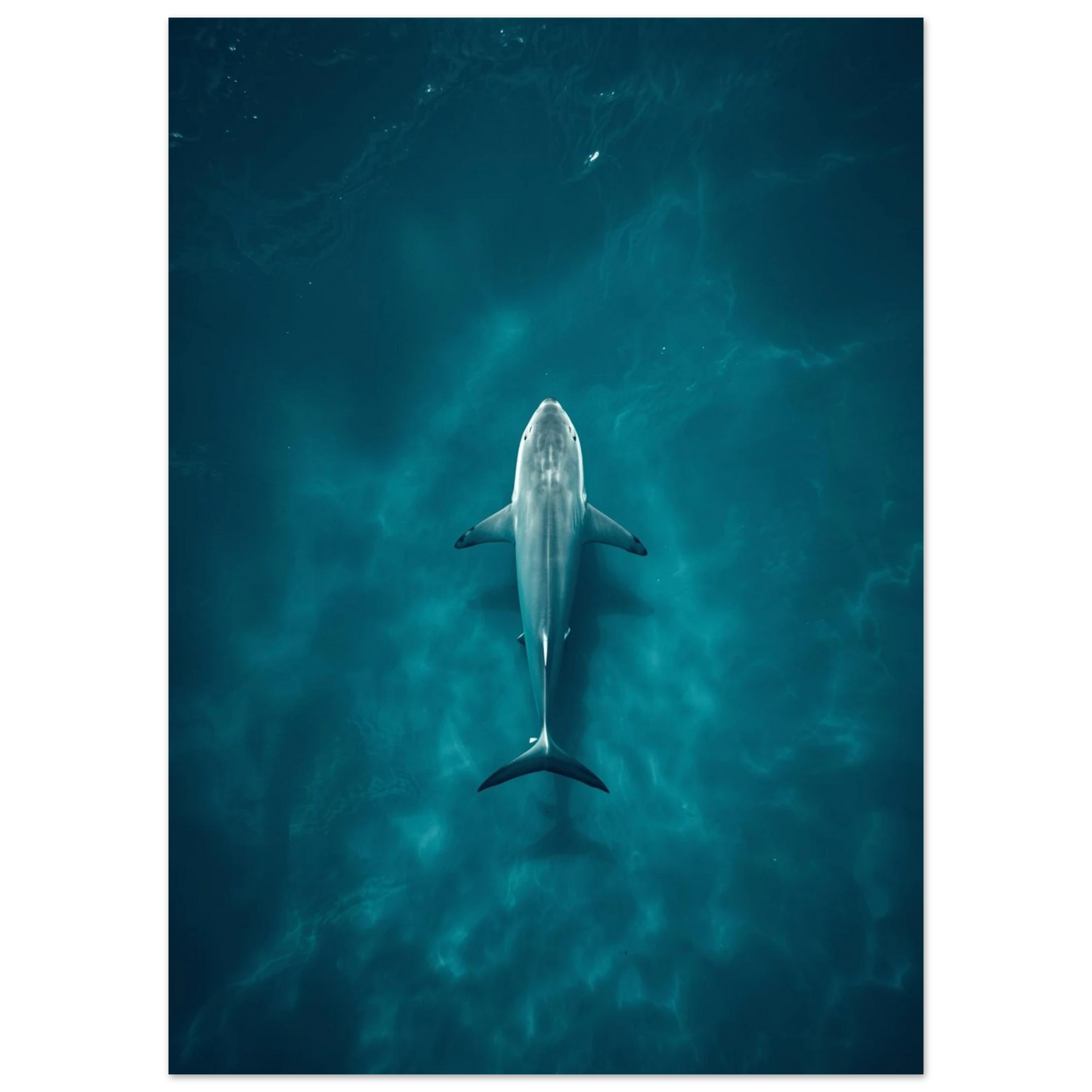 Haj i djupt, minimalistiskt undervattensperspektiv – Fotorealistisk poster