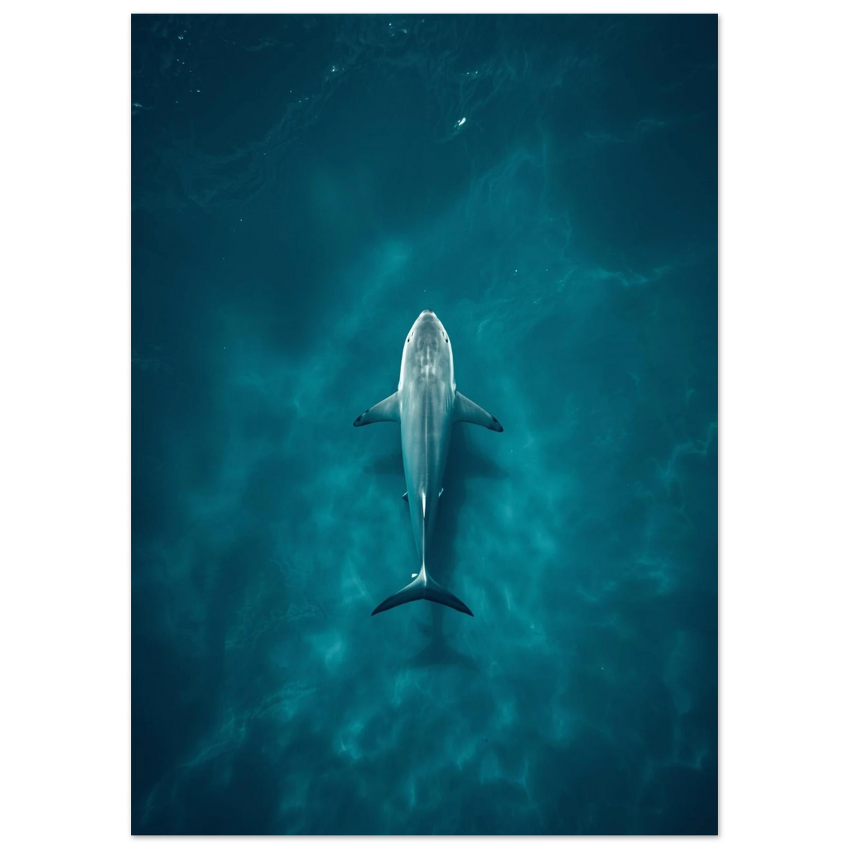 Haj i djupt, minimalistiskt undervattensperspektiv – Fotorealistisk poster