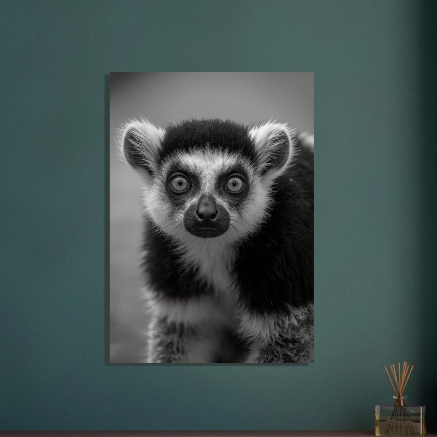Lemur med intensiv blick i svartvitt, närbild