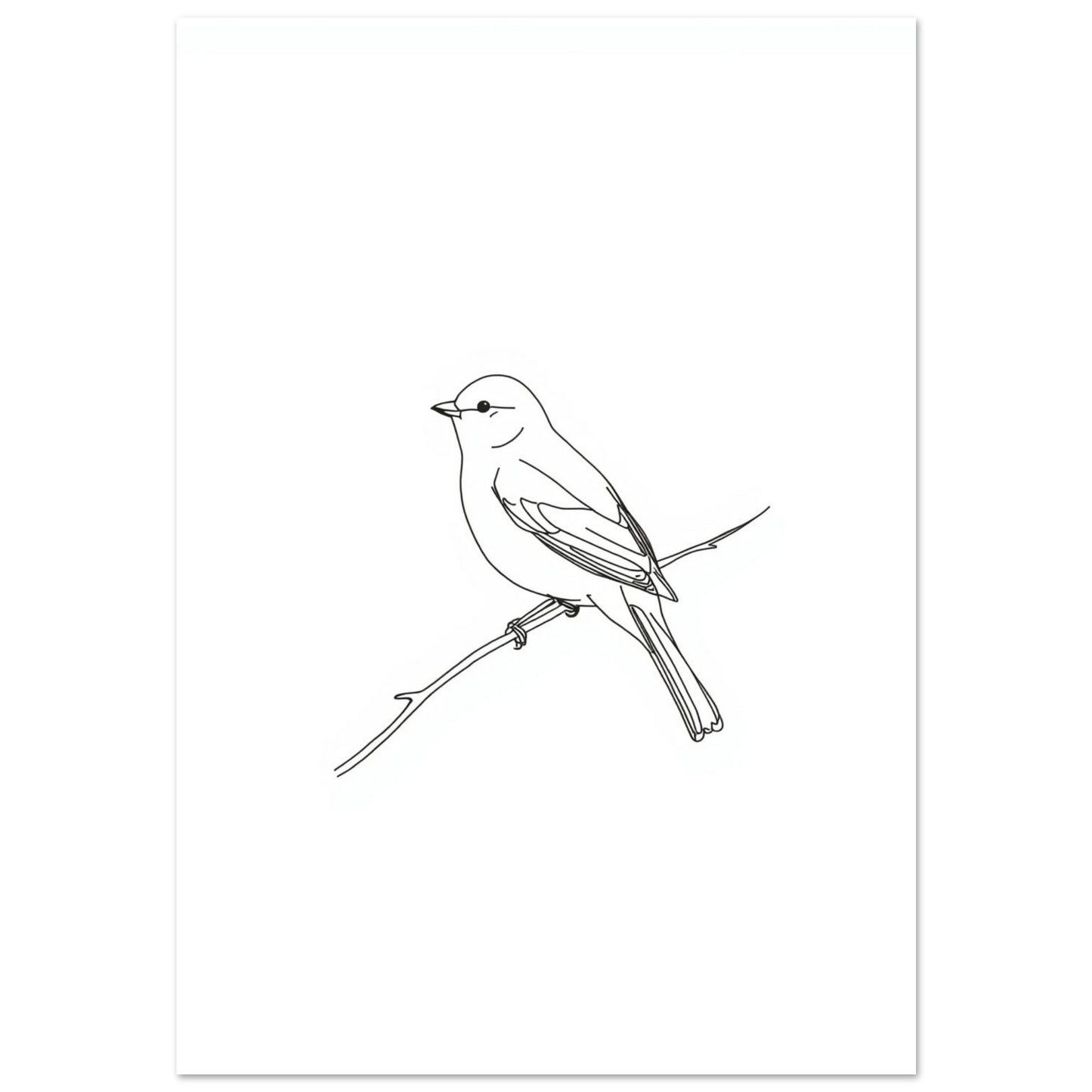 Svartvit linjeteckning av en småfågel på en gren, minimalistisk poster