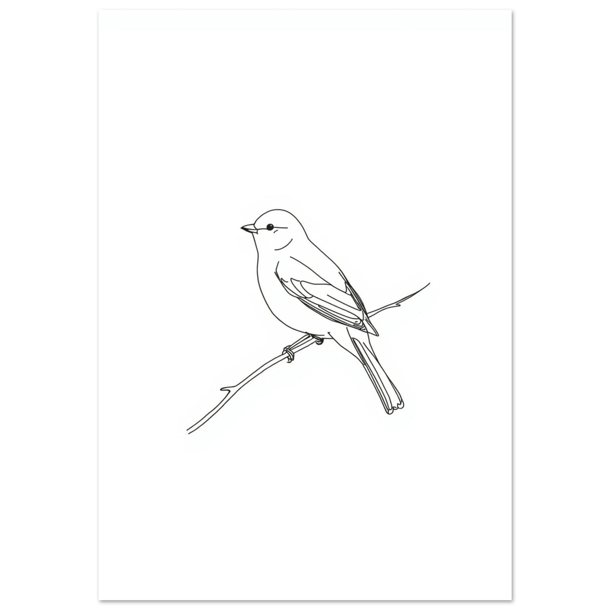 Svartvit linjeteckning av en småfågel på en gren, minimalistisk poster