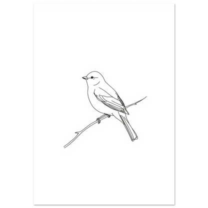 Svartvit linjeteckning av en småfågel på en gren, minimalistisk poster