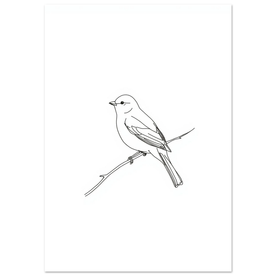 Svartvit linjeteckning av en småfågel på en gren, minimalistisk poster