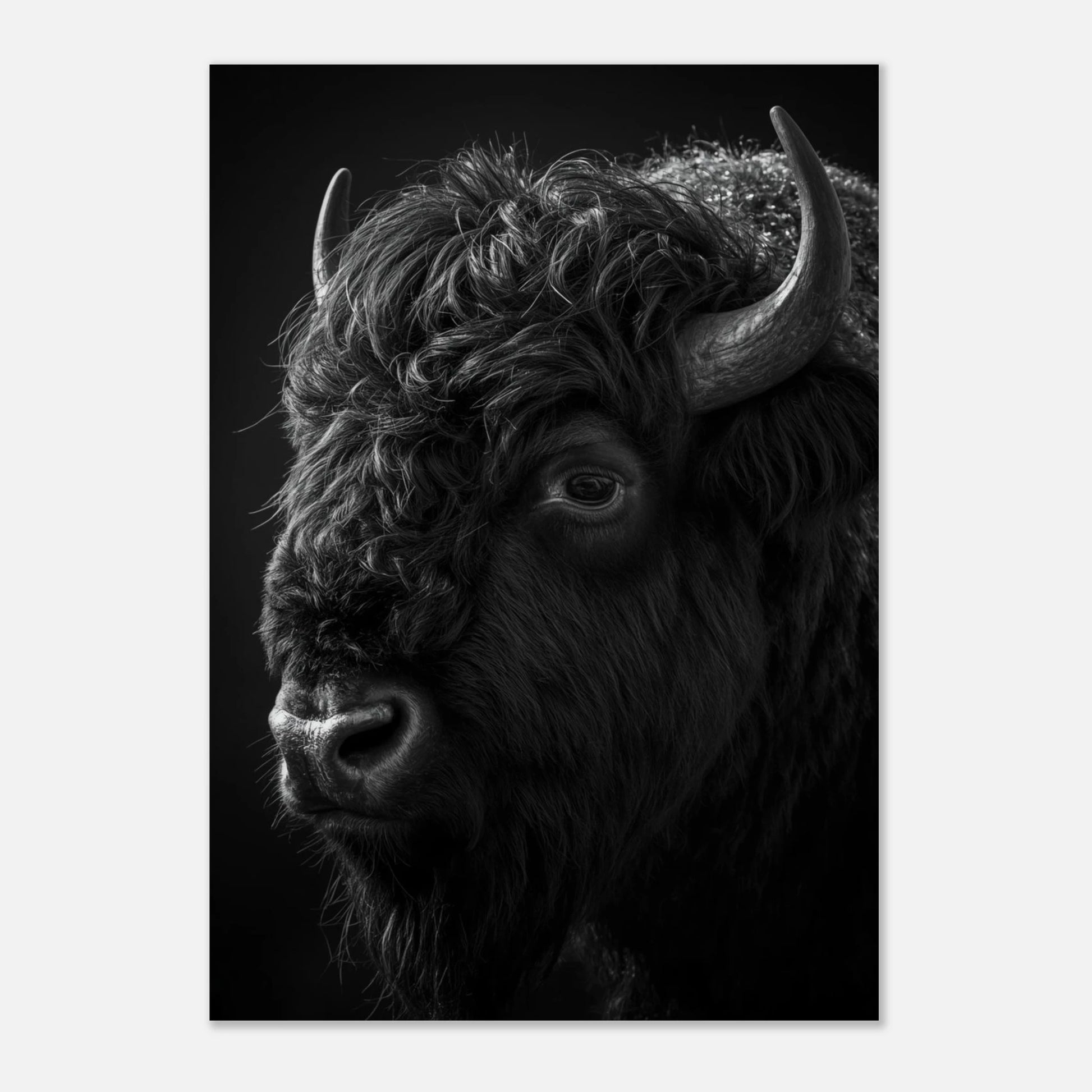 Bisonoxens djupa blick fångad i ett dramatiskt svartvitt porträtt – väggkonst