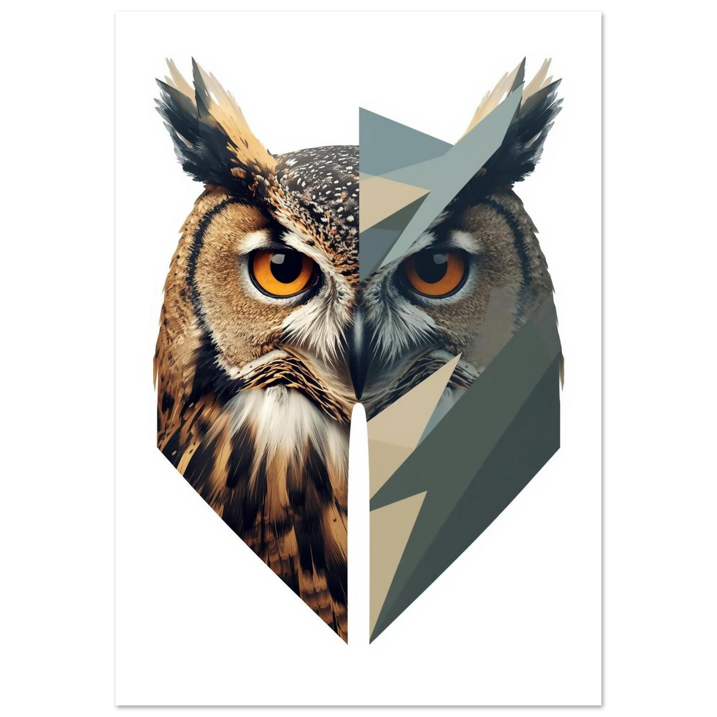 Uggla delad i naturtrogen och geometrisk halva – Tecknad poster