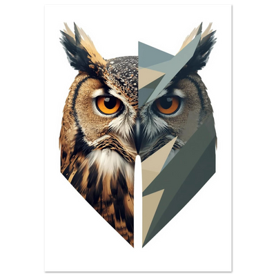 Poster - Ugglans nattliga blick