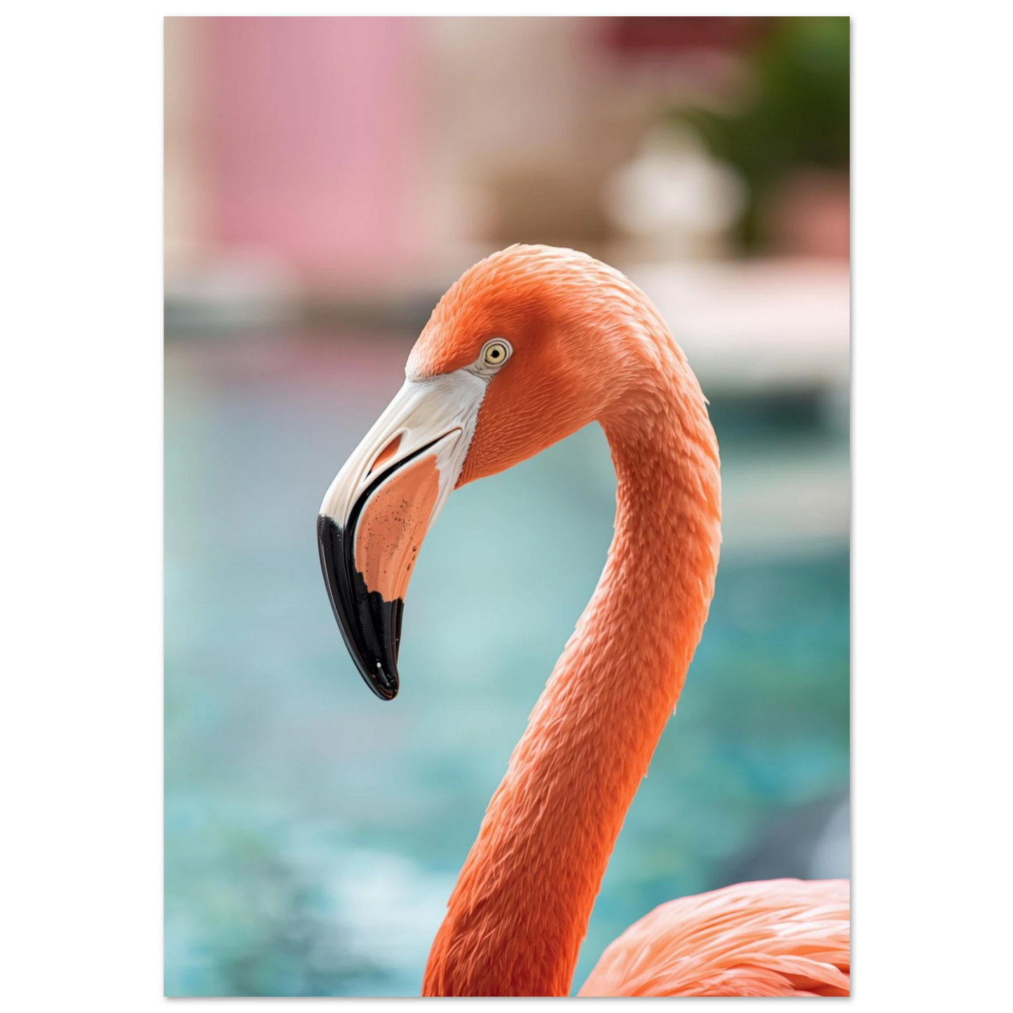 Närbild på rosa flamingo mot turkos bakgrund – fotorealistisk djurposter