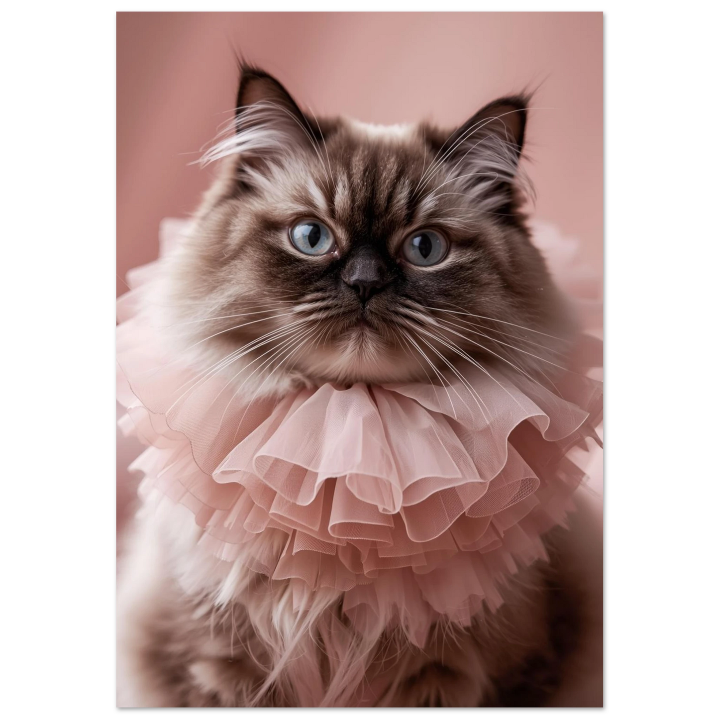 Perserkatt med intensiv blick i ljusrosa tyllkrage – fotorealistisk djurposter