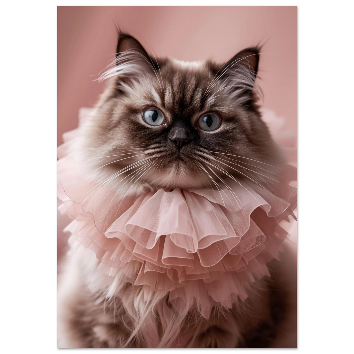 Perserkatt med intensiv blick i ljusrosa tyllkrage – fotorealistisk djurposter